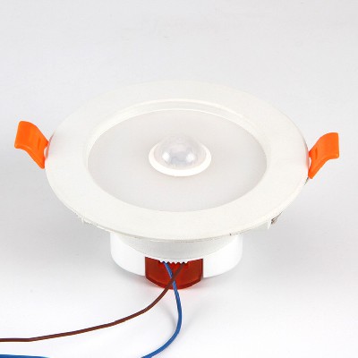 LED down light BCGYTD01